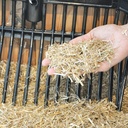 Paille de blé hachée