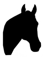 Paarden