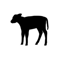 Kalveren