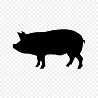 Ferkel