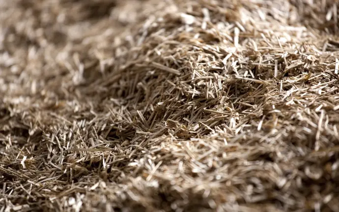 [100120] Vlasstrooisel