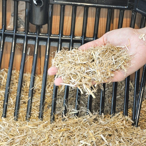 [6090] Paille de blé hachée